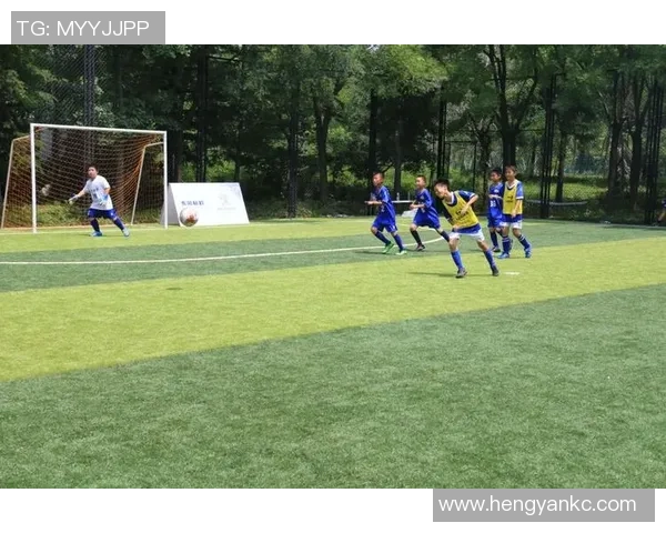 探索哥德杯足球公园平面图的设计理念与功能布局解析