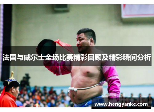 法国与威尔士全场比赛精彩回顾及精彩瞬间分析